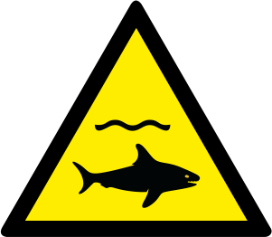 W054